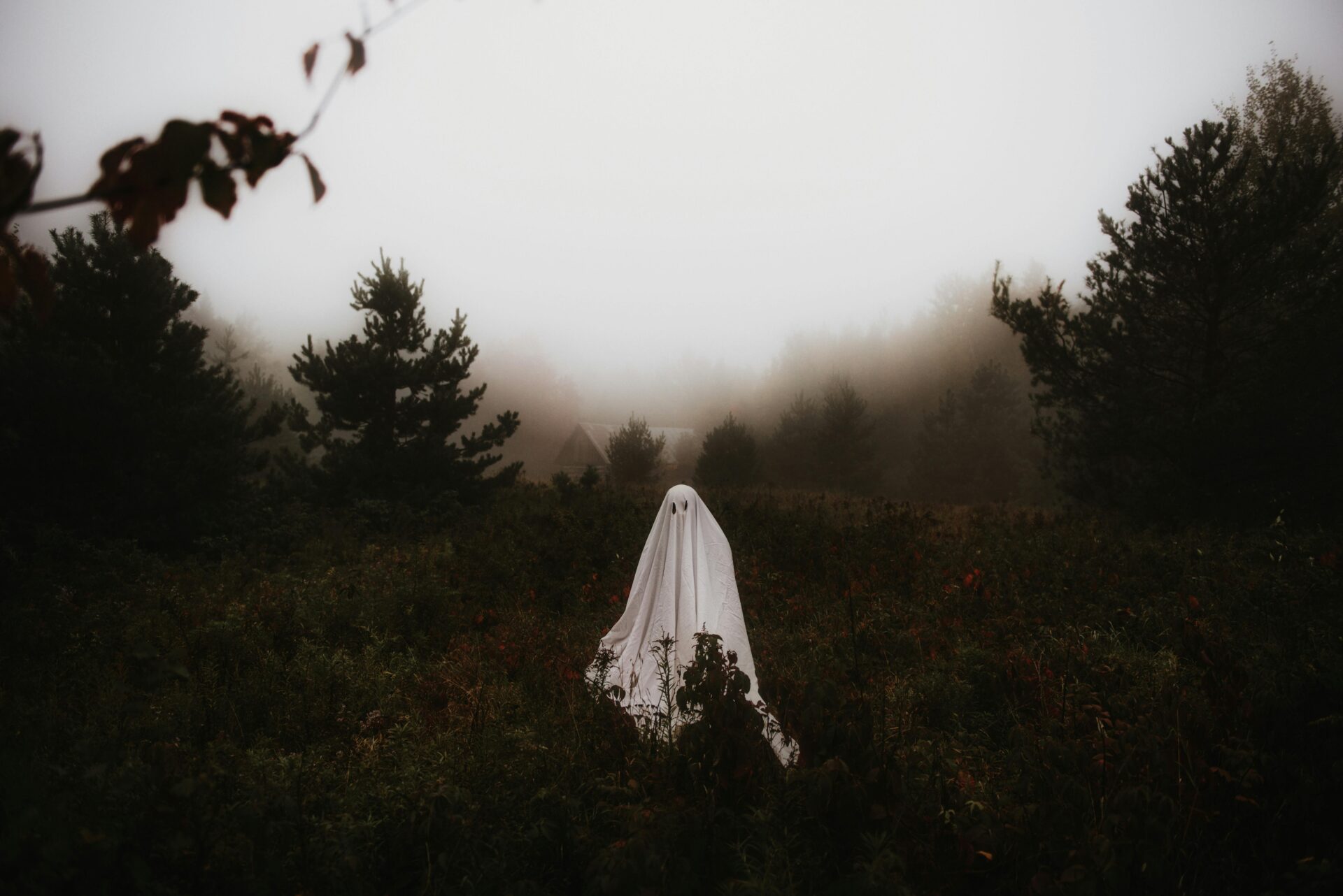 GrafanaGhots Grafana https://www.pexels.com/photo/a-person-in-white-cloth-standing-on-a-grassy-field-9778975/